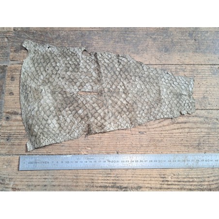 grande tilapia - marin - taupe - Cuirenstock