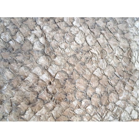 grande tilapia - marin - taupe - cuirenstock