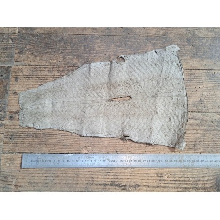 grande tilapia - marin - taupe - cuir en stock