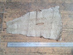 grande tilapia - marin - taupe - cuir en stock