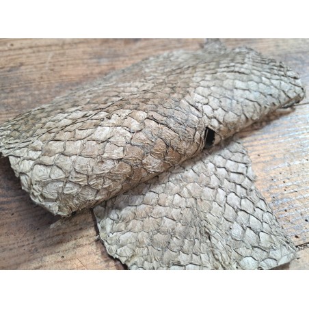 grande tilapia - marin - taupe - cuirenstock