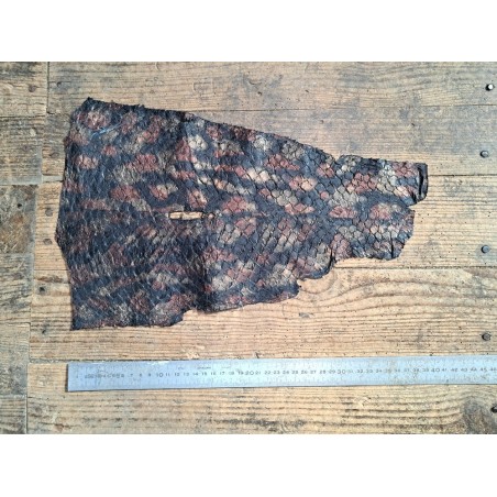 grande tilapia - marin - noir irisé - cuir en stock