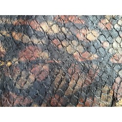 grande tilapia - marin - noir irisé - cuirenstock