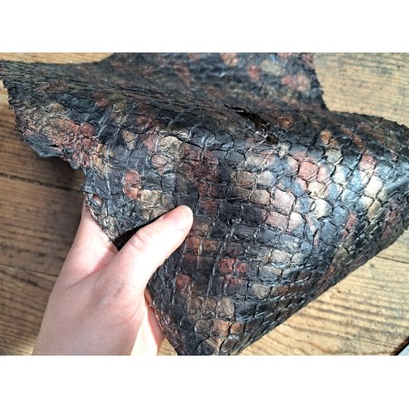 grande tilapia - marin - noir irisé - cuirenstock