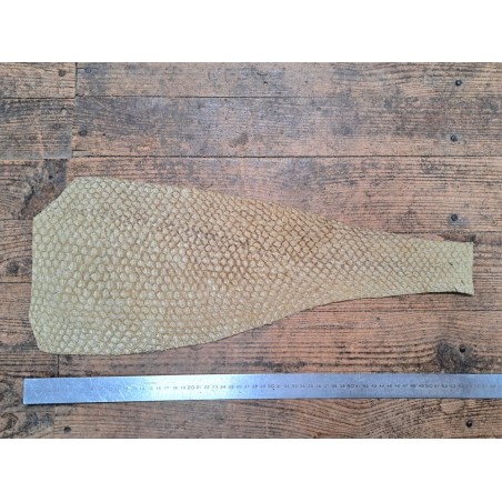 lot perche du nil - vert pastel/brun métallisé orange - Cuirenstock