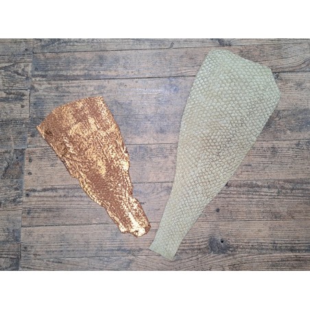 lot perche du nil - vert pastel/brun métallisé orange - cuirenstock