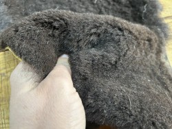 Peau de mouton lainé - CHOIX ÉCART - S - Cuir en Stock