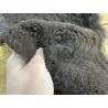 Peau de mouton lainé - CHOIX ÉCART - S - Cuir en Stock