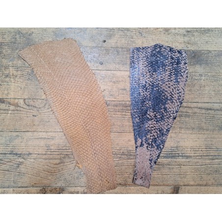 Lot de 2 peaux uniques - Perche du Nil - B - Cuir en Stock