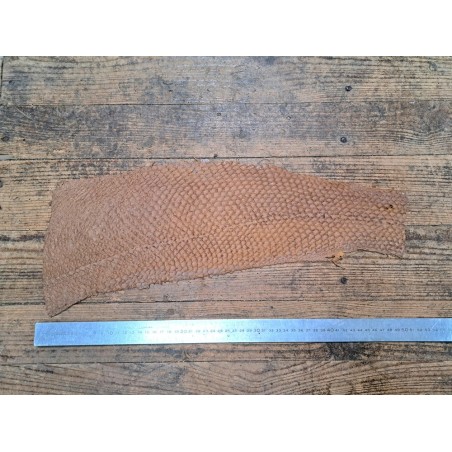 Lot de 2 peaux uniques - Perche du Nil - B - Cuir en Stock