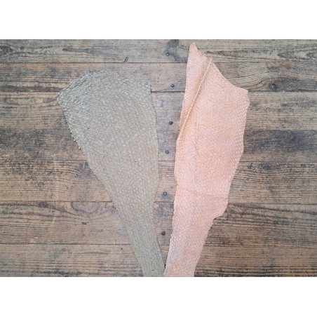 Lot de 2 peaux uniques - Perche du Nil - D - Cuir en Stock
