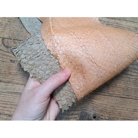 Lot de 2 peaux uniques - Perche du Nil - D - Cuir en Stock