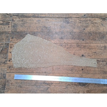 Lot de 2 peaux uniques - Perche du Nil - D - Cuir en Stock