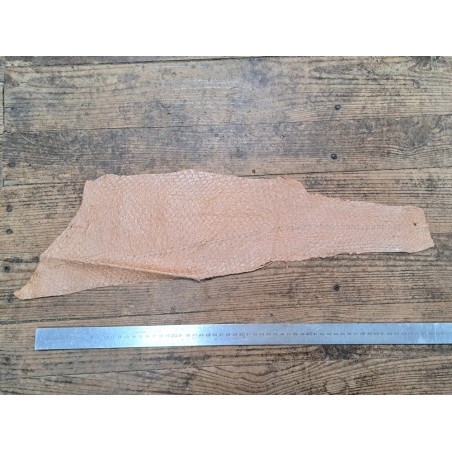 Lot de 2 peaux uniques - Perche du Nil - D - Cuir en Stock