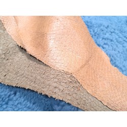 lot perche du nil - rose saumon/ vert amande - cuirenstock