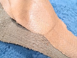 lot perche du nil - rose saumon/ vert amande - cuirenstock