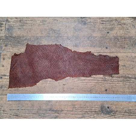 lot perche du nil - acajou/ brun clair - Cuirenstock