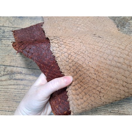 lot perche du nil - acajou/ brun clair - cuirenstock