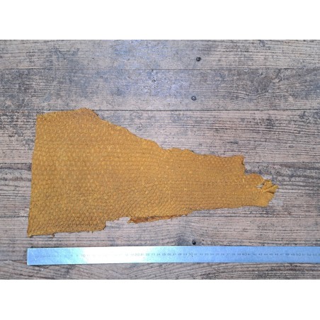 lot perche du nil - jaune moutarde/vert amande irisé or - Cuirenstock