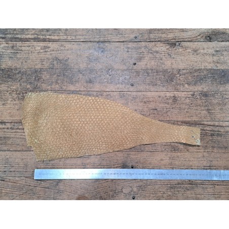 lot perche du nil - jaune moutarde/vert amande irisé or - cuirenstock