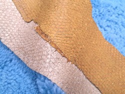 lot perche du nil - jaune moutarde/vert amande irisé or - cuirenstock