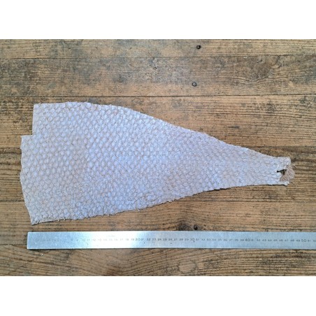 lot perche du nil - brun/rose nacré violine - Cuirenstock