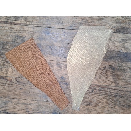 Lot de 2 peaux uniques - Perche du Nil - H - Cuir en Stock