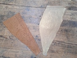 Lot de 2 peaux uniques - Perche du Nil - H - Cuir en Stock