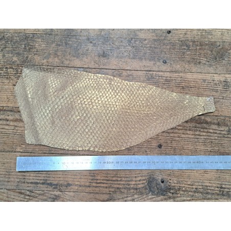 Lot de 2 peaux uniques - Perche du Nil - H - Cuir en Stock