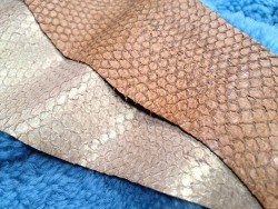 Lot de 2 peaux uniques - Perche du Nil - H - Cuir en Stock