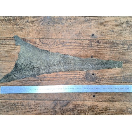 cuir cabillaud - poisson - maroquinerie - vert irisé - cuir en stock