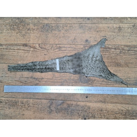 cuir cabillaud - poisson - maroquinerie - vert irisé - cuirenstock