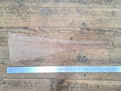 cuir cabillaud - poisson - maroquinerie - rose pastel mat - cuir en stock