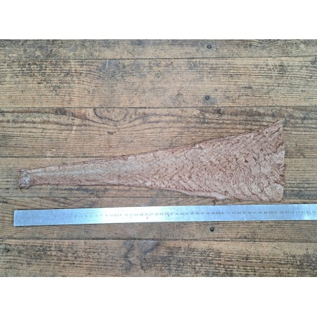 cuir cabillaud - poisson - maroquinerie - rose pastel mat - cuirenstock