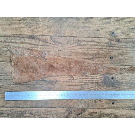 cuir cabillaud - poisson - maroquinerie - nuancé - brun clair mat - cuir en stock