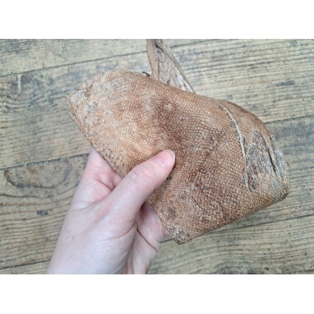 cuir cabillaud - poisson - maroquinerie - nuancé - brun clair mat - Cuir en stock