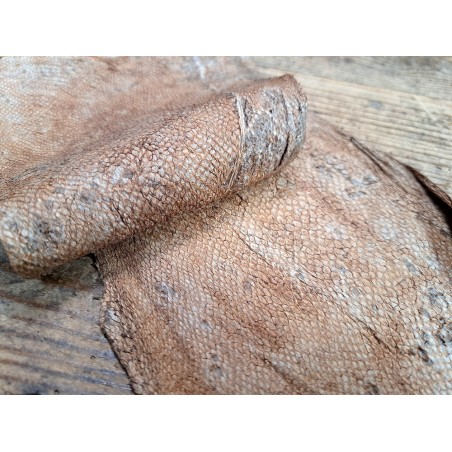 cuir cabillaud - poisson - maroquinerie - nuancé - brun clair mat - cuirenstock