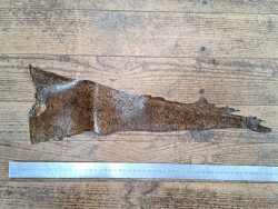 cuir cabillaud - poisson - maroquinerie - brun sépia - cuir en stock