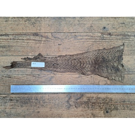 cuir cabillaud - poisson - maroquinerie - brun sépia - cuirenstock