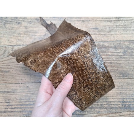 cuir cabillaud - poisson - maroquinerie - brun sépia - Cuir en stock