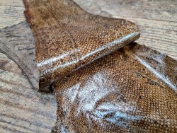 cuir cabillaud - poisson - maroquinerie - brun sépia - cuirenstock