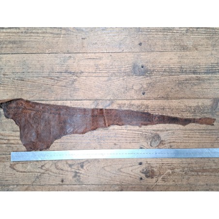 cuir cabillaud - poisson - maroquinerie - noisette- cuir en stock