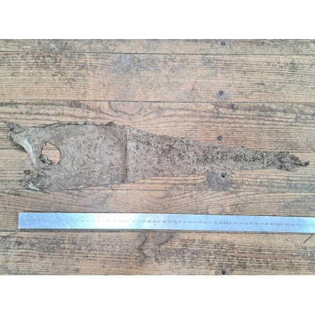 cuir cabillaud - poisson - maroquinerie - taupe - cuir en stock