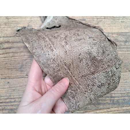 cuir cabillaud - poisson - maroquinerie - taupe - cuir en stock