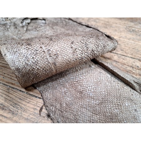 cuir cabillaud - poisson - maroquinerie - taupe - cuirenstock