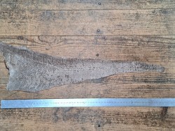 cuir cabillaud - poisson - maroquinerie - naturel mat - cuir en stock