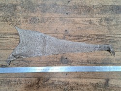 cuir cabillaud - poisson - maroquinerie - naturel - cuir en stock