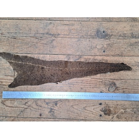 cuir cabillaud - poisson - maroquinerie - brun kaki mat - cuir en stock