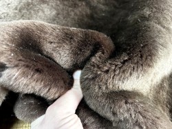 Peau de mouton lainé DOUBLE FACE marron - Cuir en Stock