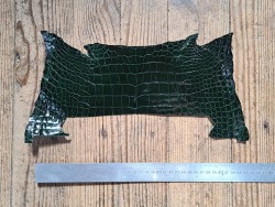Morceau de cuir de crocodile véritable - vert - bijoux et accessoires - Cuirenstock